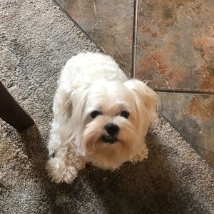 Meet your Posher, Melanie